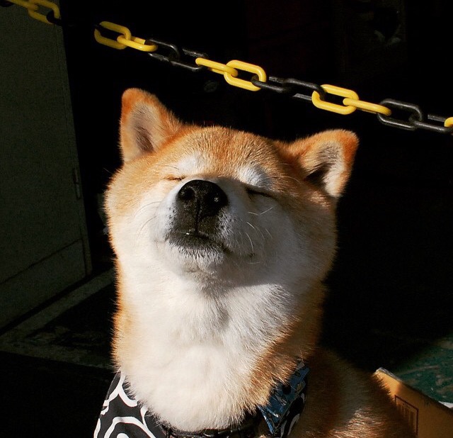 2025年中国篮球联赛最令人期待的十大比赛,2020中国篮球赛事