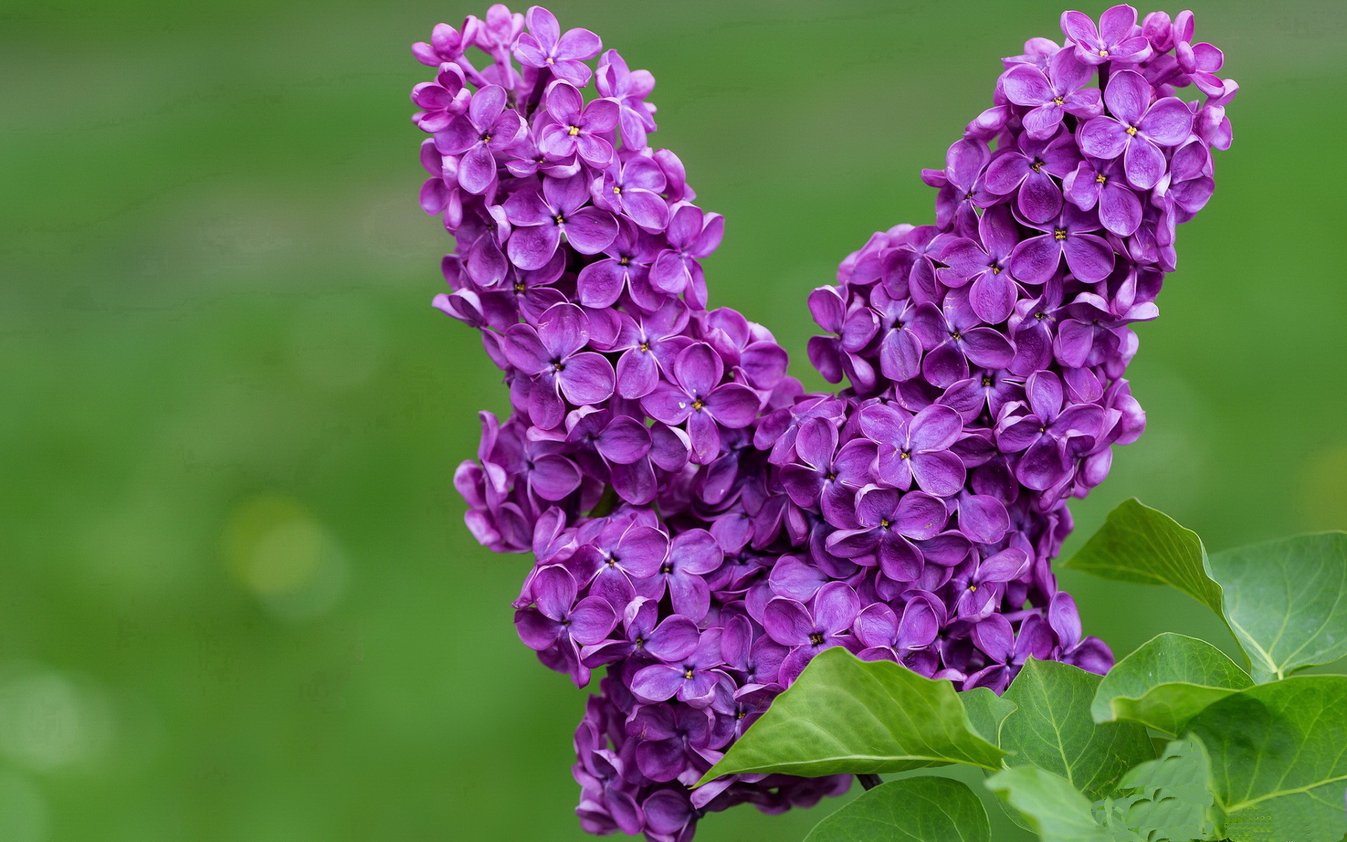 爱游戏电竞-APEX英雄 战队间默契配合成胜负关键，apex英雄队友