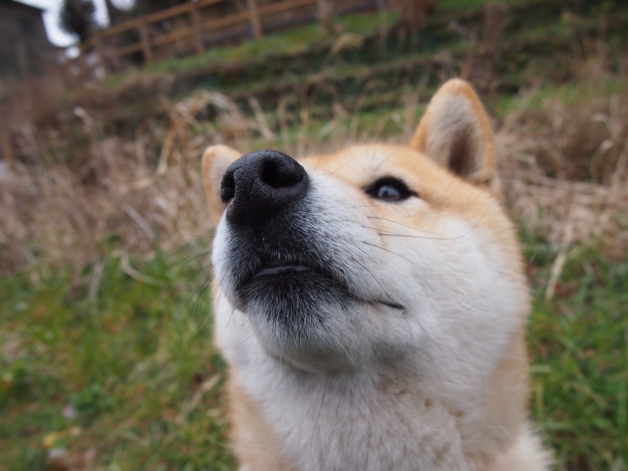 爱游戏体育APP下载-WRC赛场创新：智能导航与通讯系统的革新，wrc著名赛道