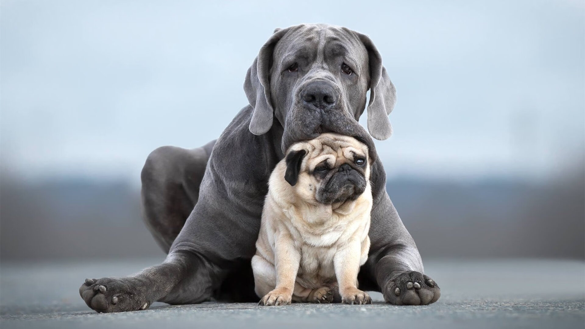 _智能运动科普馆：让运动更科学、更有趣_，运动科普室
