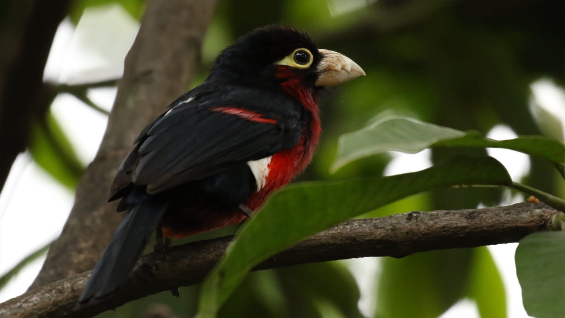 爱游戏登录入口-“中国足球运动员留洋频道：挑战与机遇”，最新中国留洋足球运动员