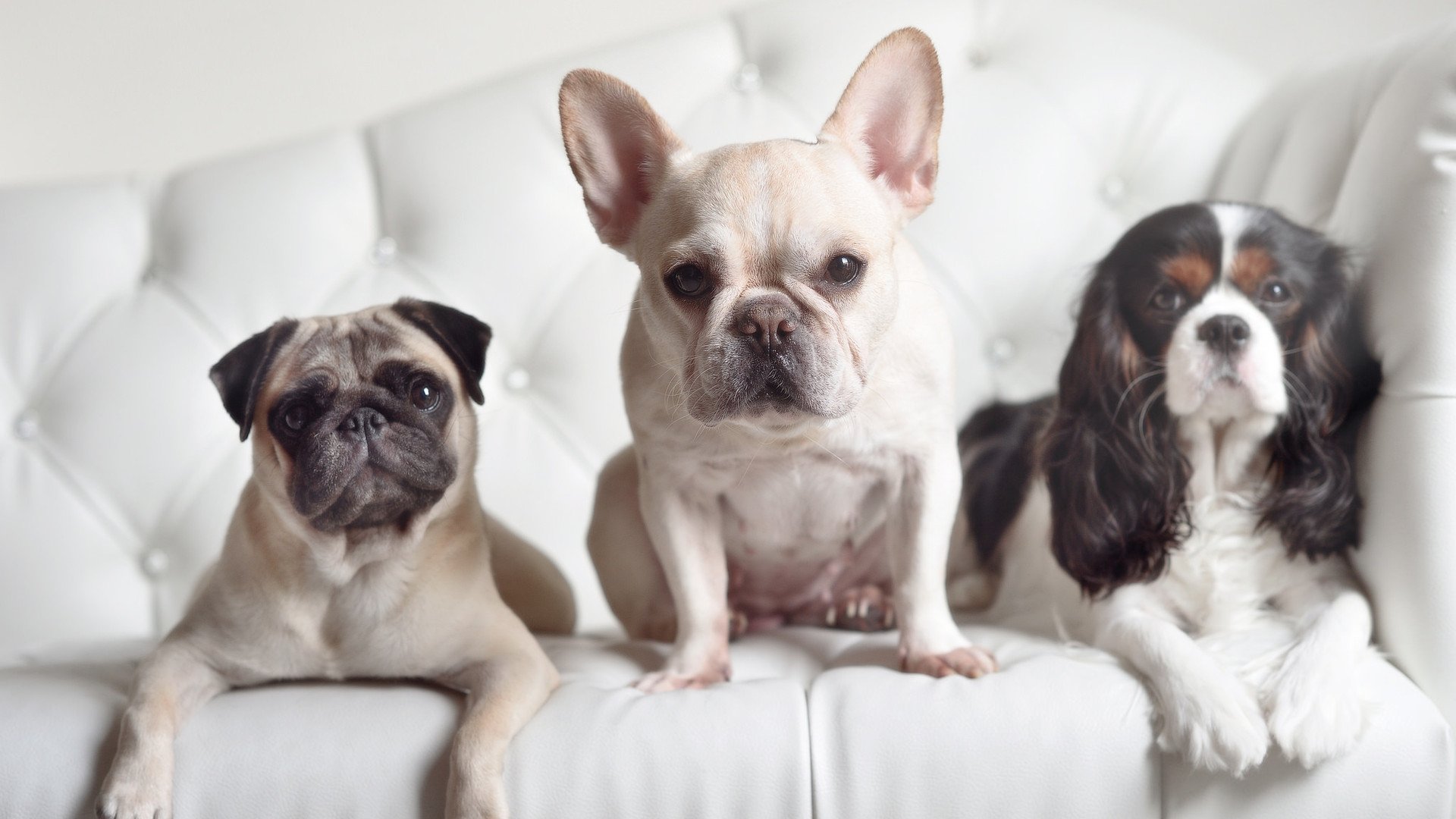 爱游戏体育平台-“德甲激战正酣：攻防对抗精彩纷呈”，德甲打法