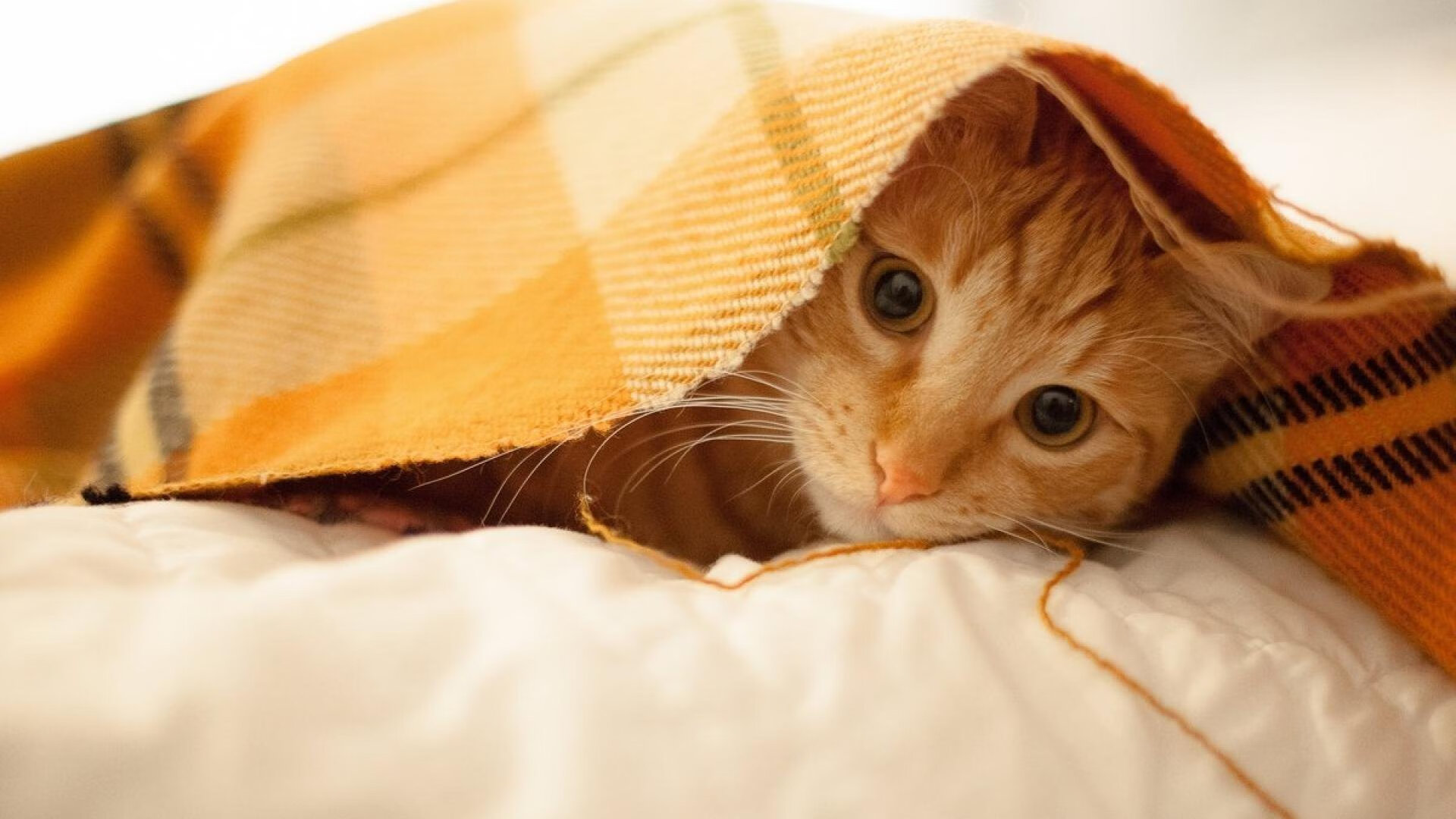 -【青训故事】从丁俊晖到新一代青训营的成长轨迹，丁俊晖训练