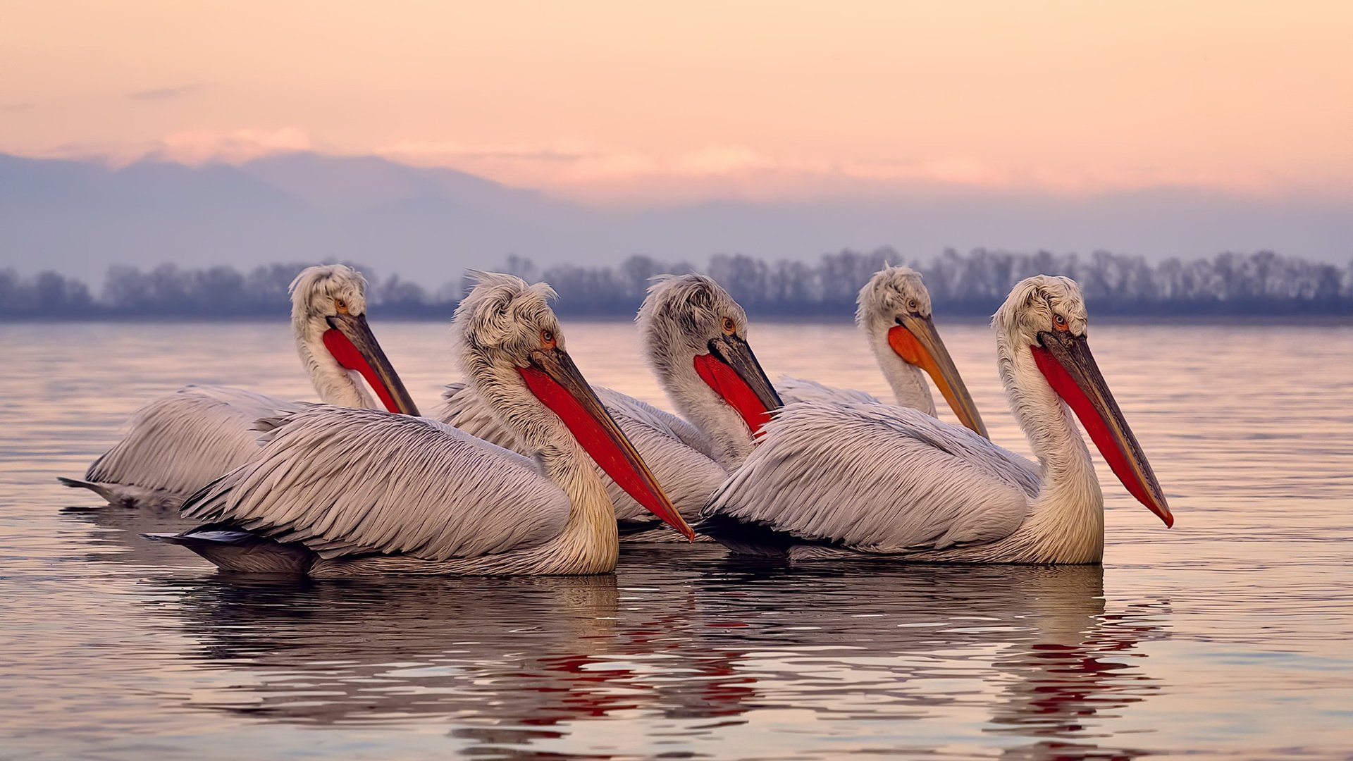爱游戏体育app-全国青少年“篮动未来”科普讲座在广州火热开展，问动青少年篮球培训