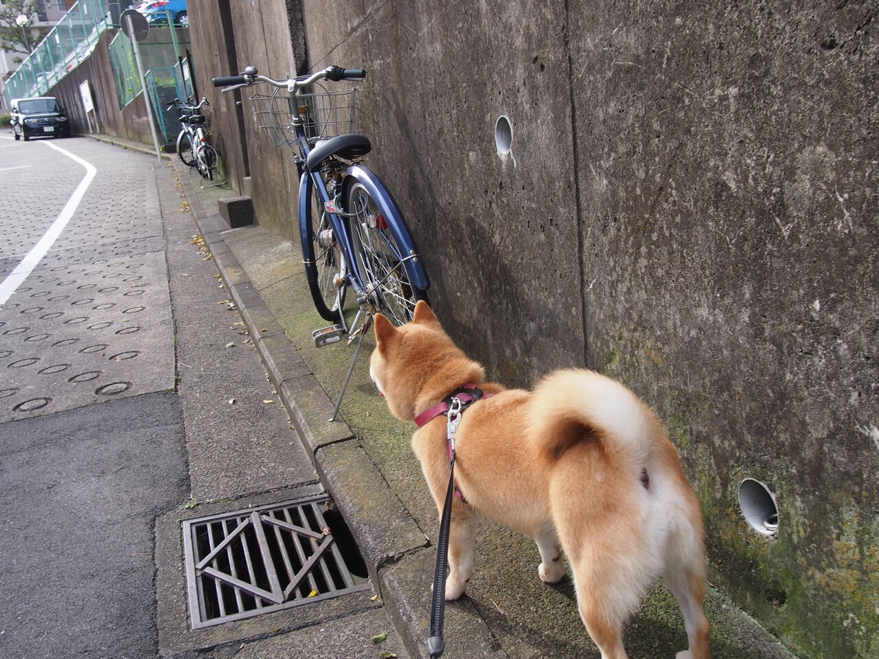 影响深远:新一届“最具潜力球员榜单”公布,最有潜力的球队