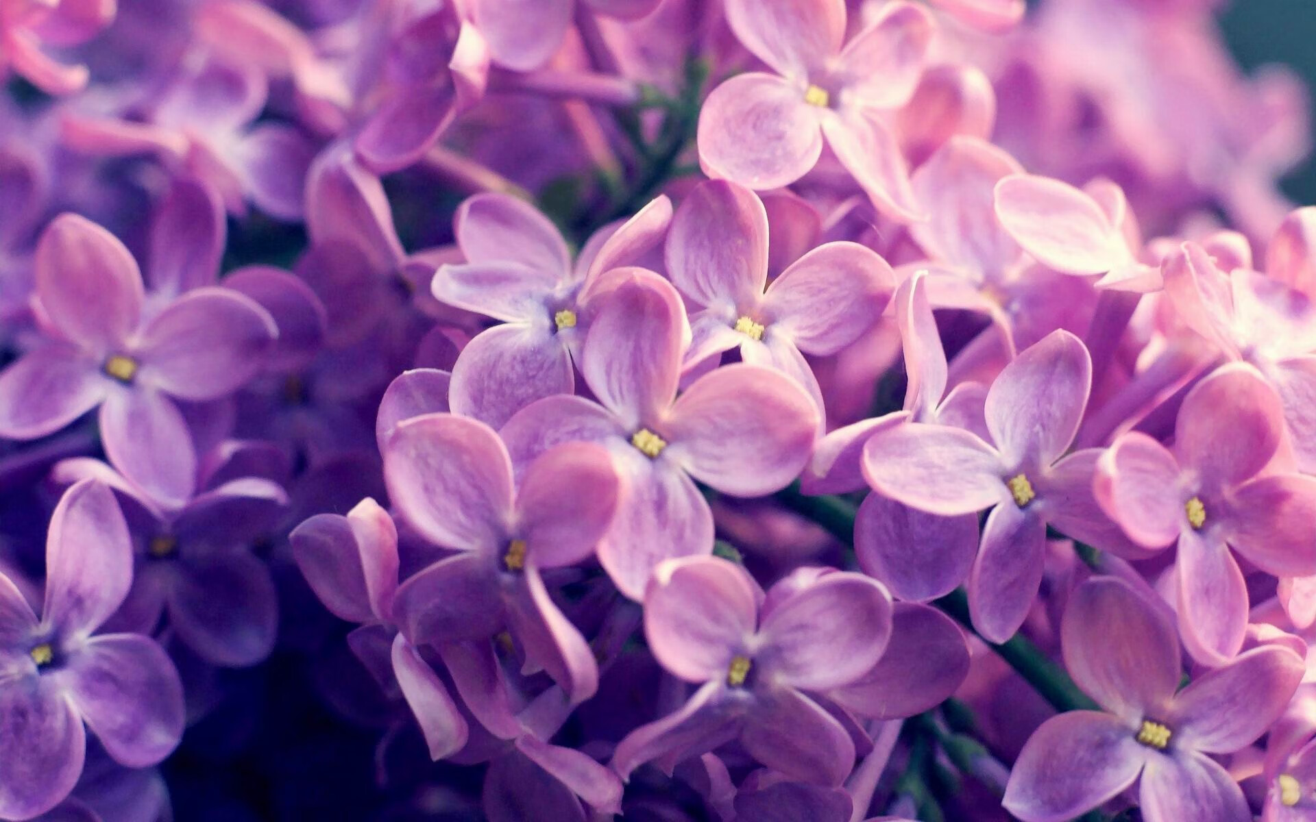 爱游戏电竞官网-球场“天才少年”崭露头角，欧冠新锐崛起，欧冠青年人队