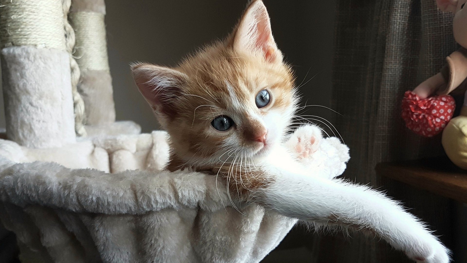 爱游戏中国官方登录入口网站-王者荣耀年度冠军赛总决赛即将开幕，万人直播热度持续升高，王者荣耀冠军杯总决赛时间