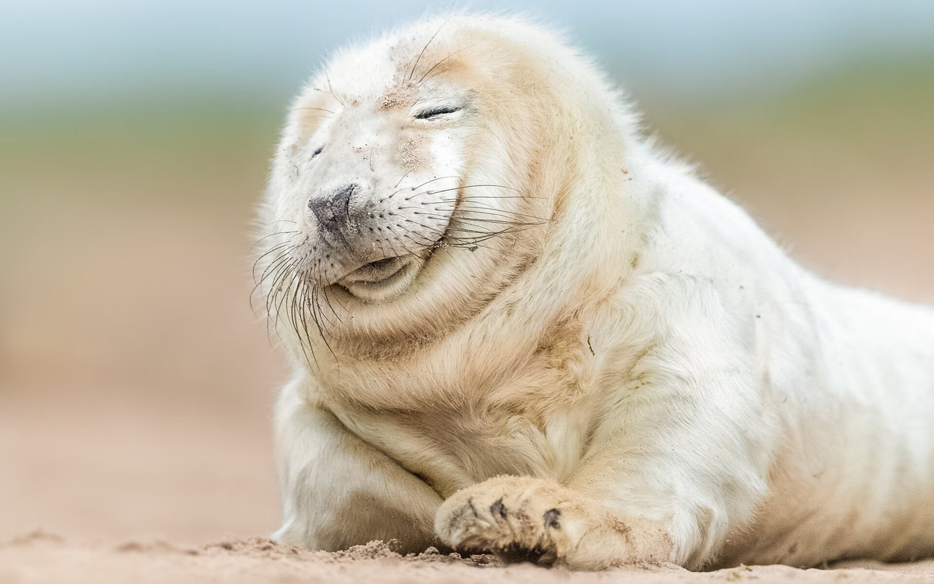 爱游戏平台-绿色篮球：推动环保、可持续发展的新动能，绿色篮球脏了怎么清洗