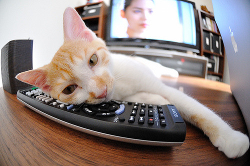 爱游戏体育官方网站-LPL官方宣布季后赛开赛时间，lpl官方宣布季后赛开赛时间是几点