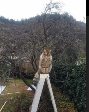 爱游戏体育平台-中国足球产业链完善，发展前景广阔，中国足球产业链完善,发展前景广阔的原因