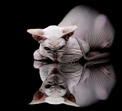 爱游戏app-广东男篮取得关键胜利，稳健晋级，广东男篮战绩