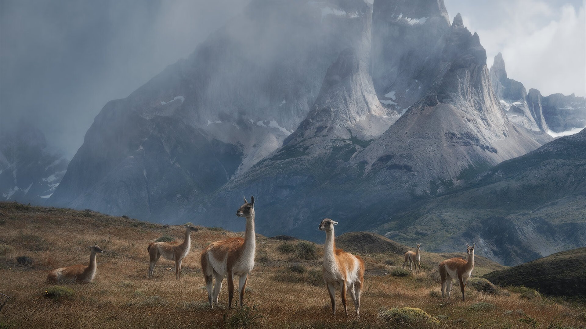 横滨水手锋线表现活跃,横滨水手实力