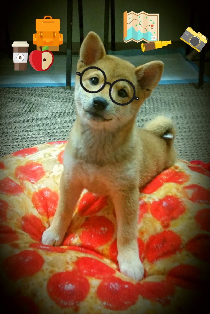 波尔多客场击败尼姆队,取得连胜,波尔多对尼奥尔