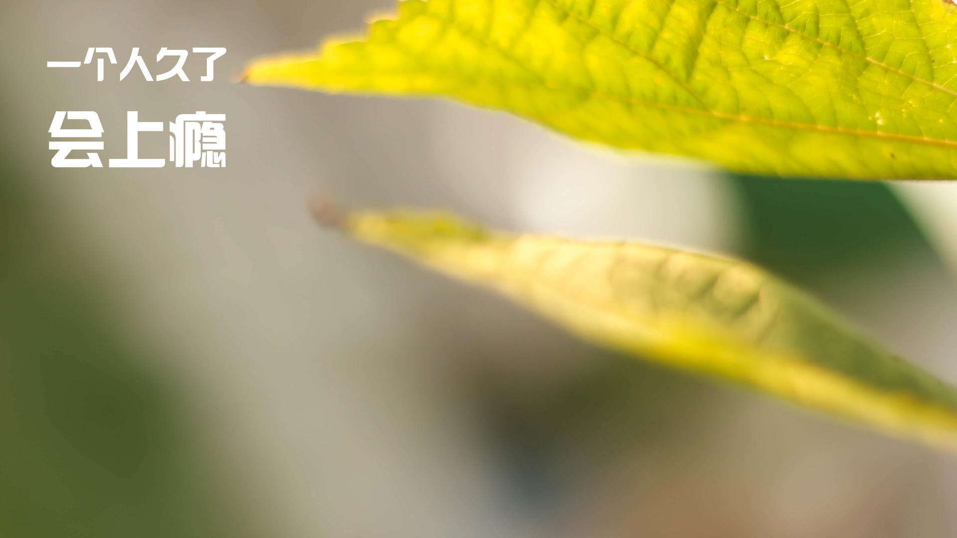 爱游戏电竞官网-湖人关键时刻防守制胜，湖人队的防守理念