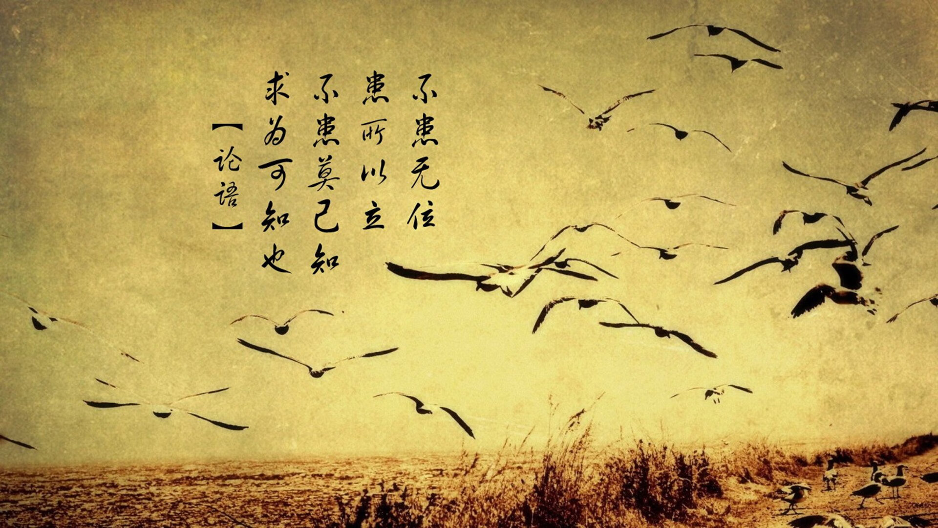 爱游戏官方网站-球场风云：掘金与森林狼的较量将产生火花，掘金对森林狼分析