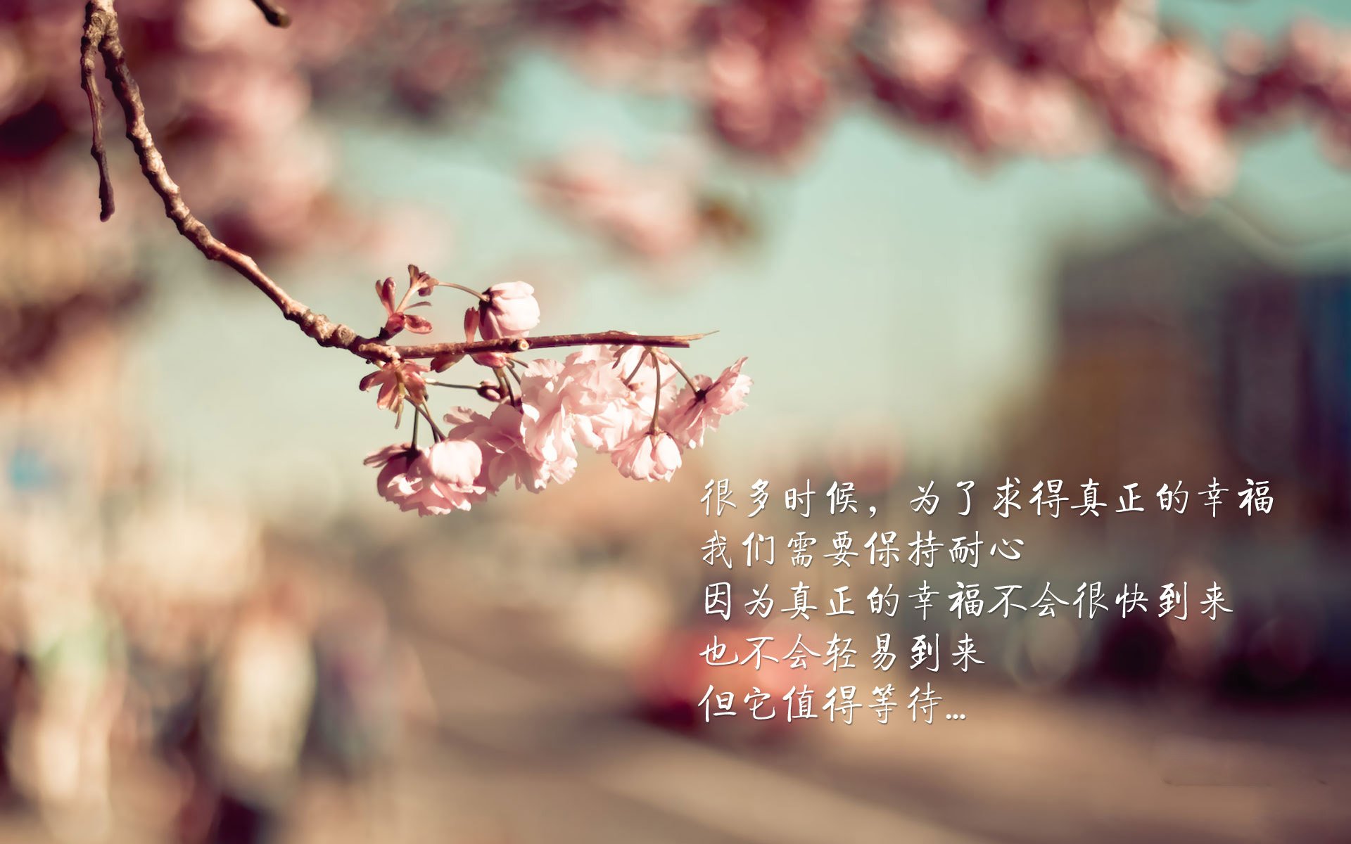 -皇马闷平，贝尔受伤离场，球迷心情沉重，皇马的贝尔去哪了