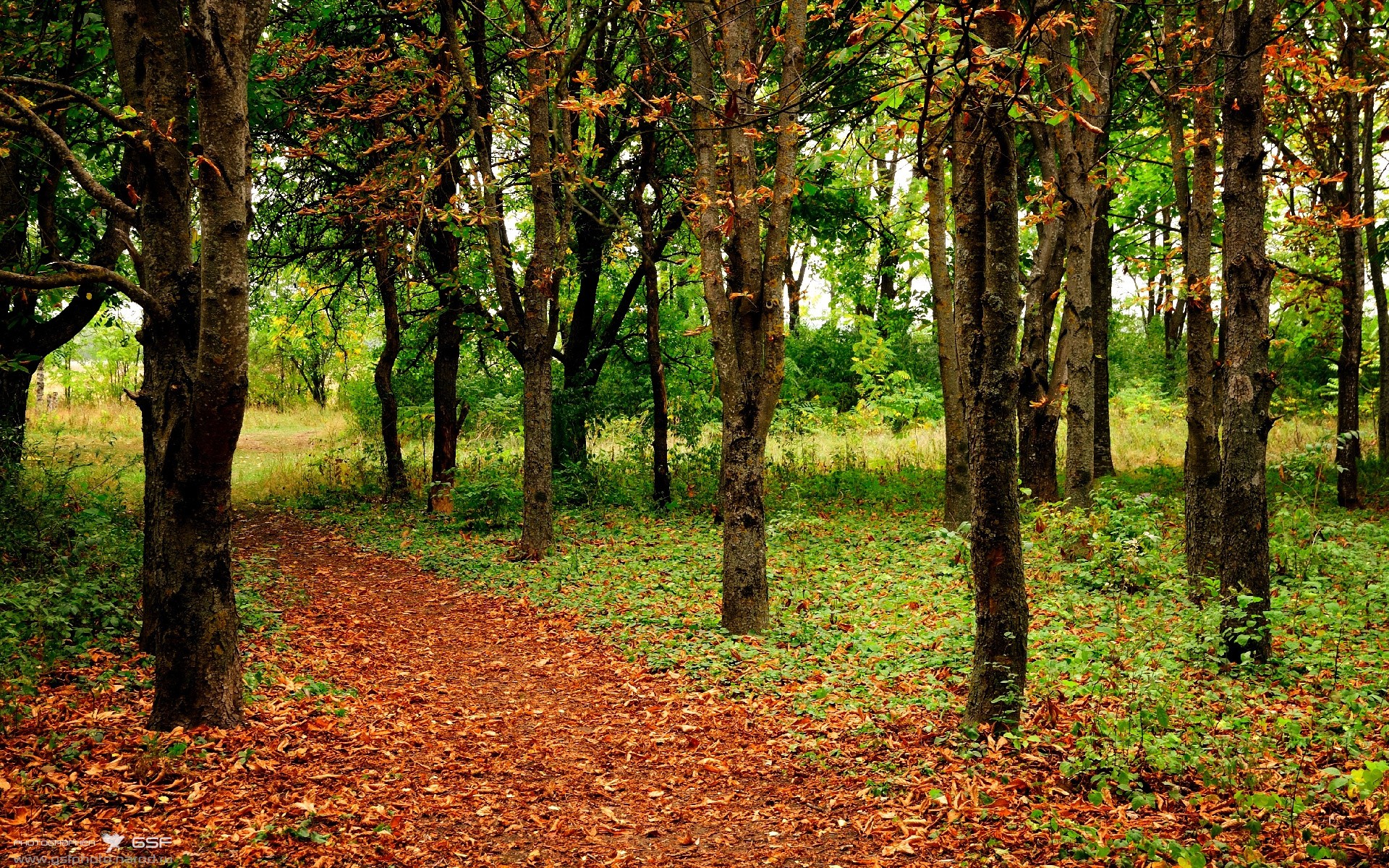 AYX GAMING-青岛男篮球队训练强度不断加大，山东青岛男篮球队队员名单