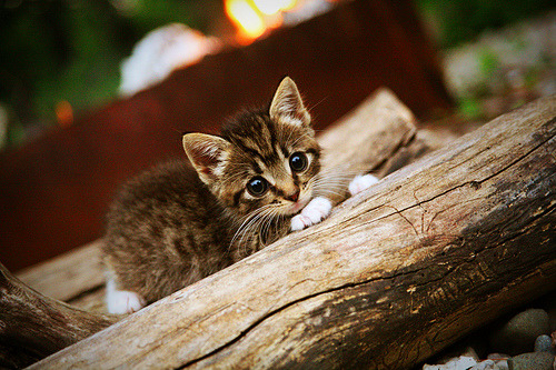 韩国偶像产业体系再升级,韩国偶像产业产值