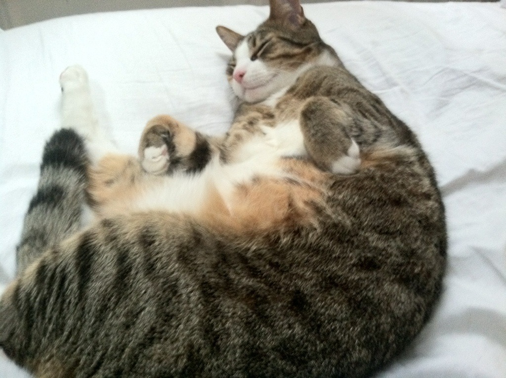 NBA球队防守数据统计方法,nba防守数据怎么看