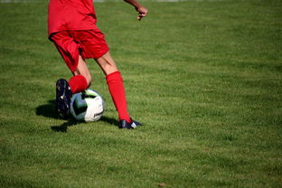 AYX体育官网-篮球运动员心理韧性培养及心理干预体系，篮球运动员的心理训练