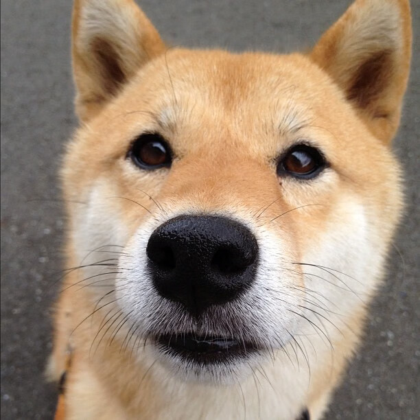 中国男篮队员积极参与公益活动 展现良好形象,中国男子篮球职业联赛赞助商