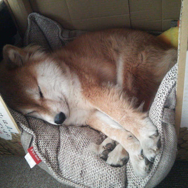 AYX体育官网-突尼斯希望球员拼搏精神十足，突尼斯希望球员拼搏精神十足吗