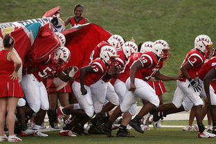 爱游戏体育平台-青少年体育社团快速发展 激发校园活力，体育社团开展