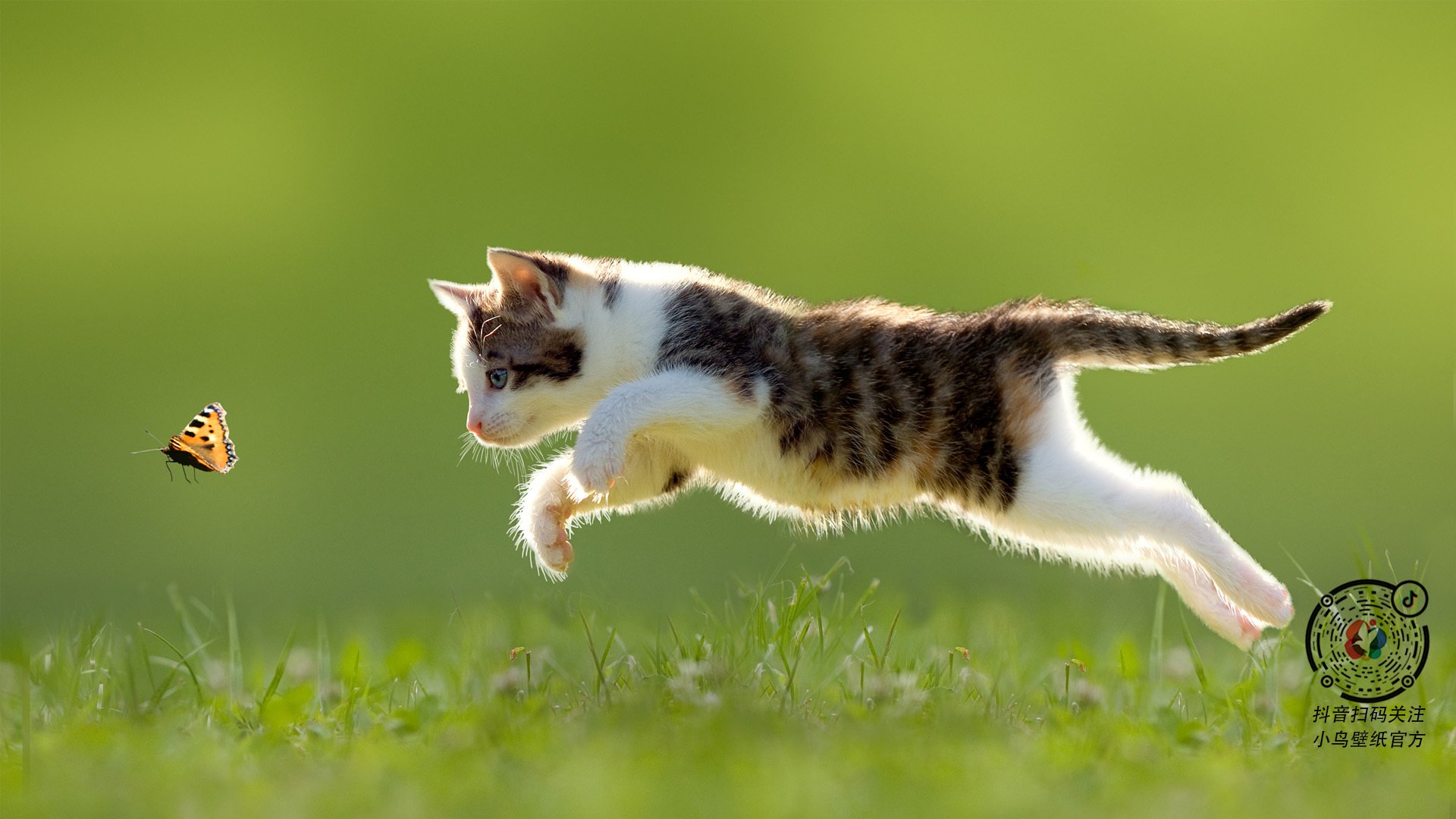 青少年体育社团快速发展 激发校园活力,体育社团开展