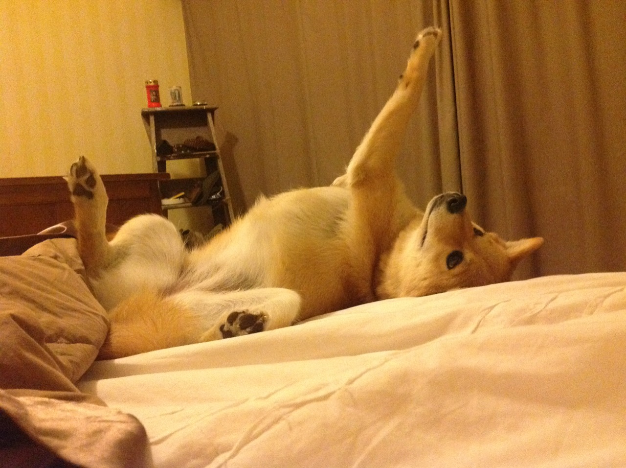 中国足球国家队训练强度科学合理安排,中国足球队训练视频