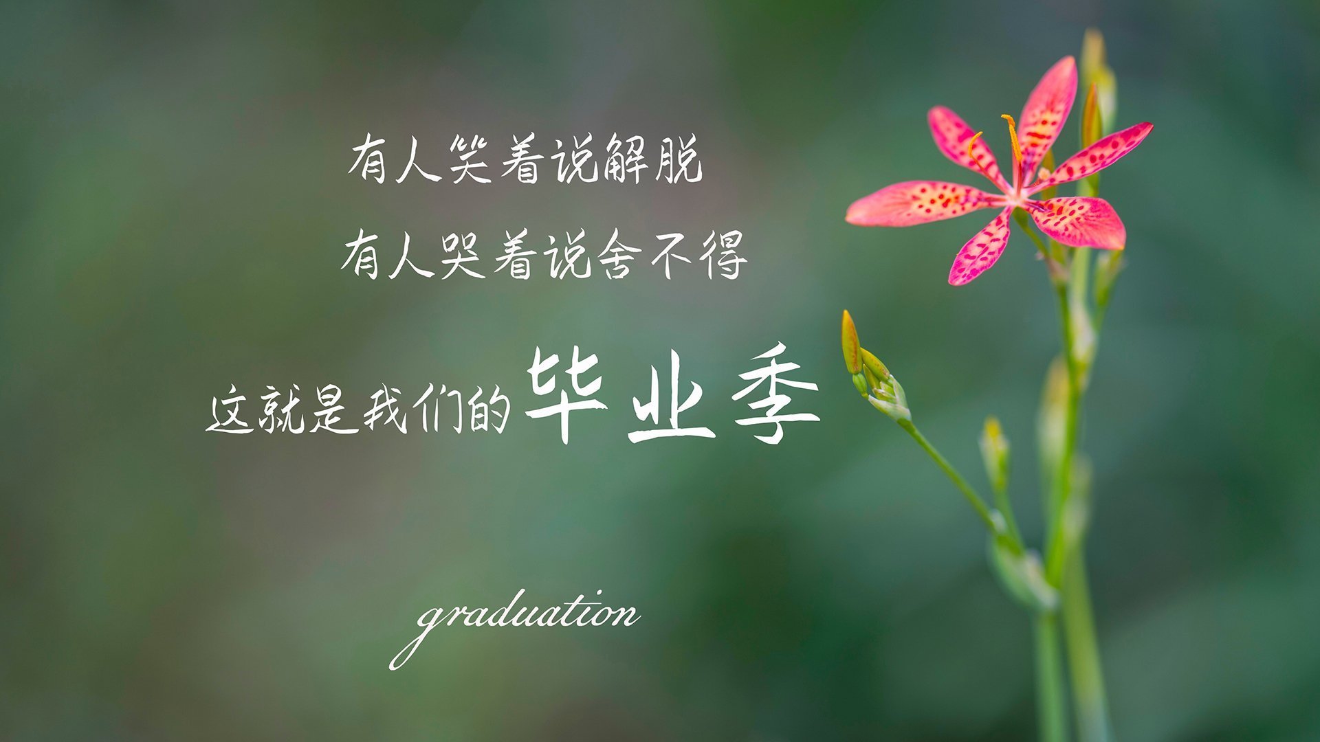 中学篮球加强基本功训练提升技术水平,中学篮球训练中应注意哪些问题