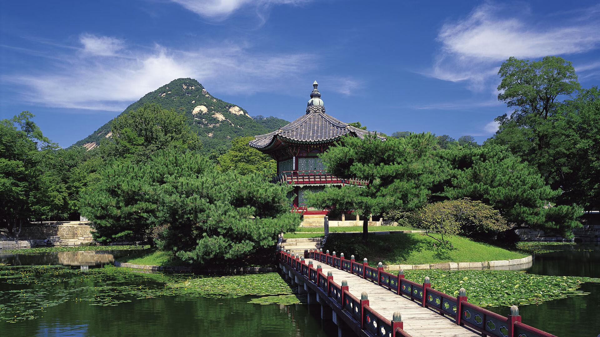 乌拉圭队整装待发,备战未来国际大赛