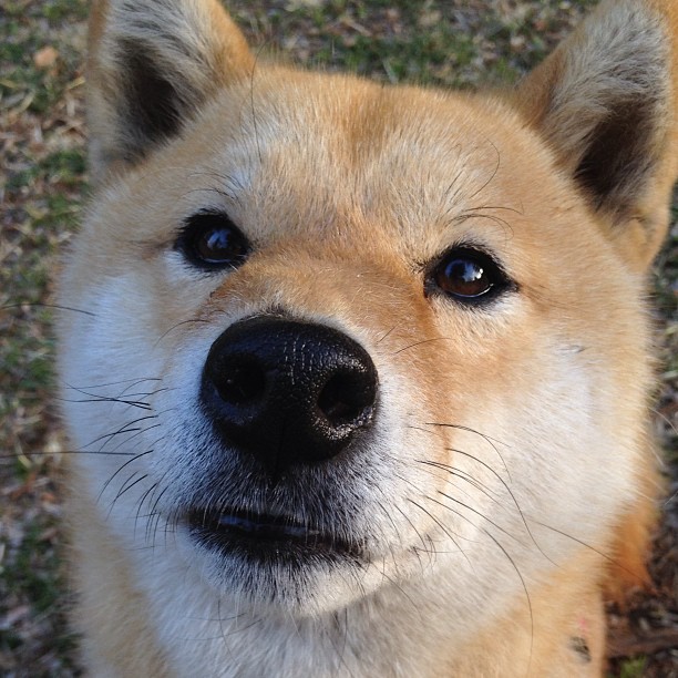 巴雷特:以出色的赛场表现和稳定发挥,巩固了自己在全黑队的核心地位