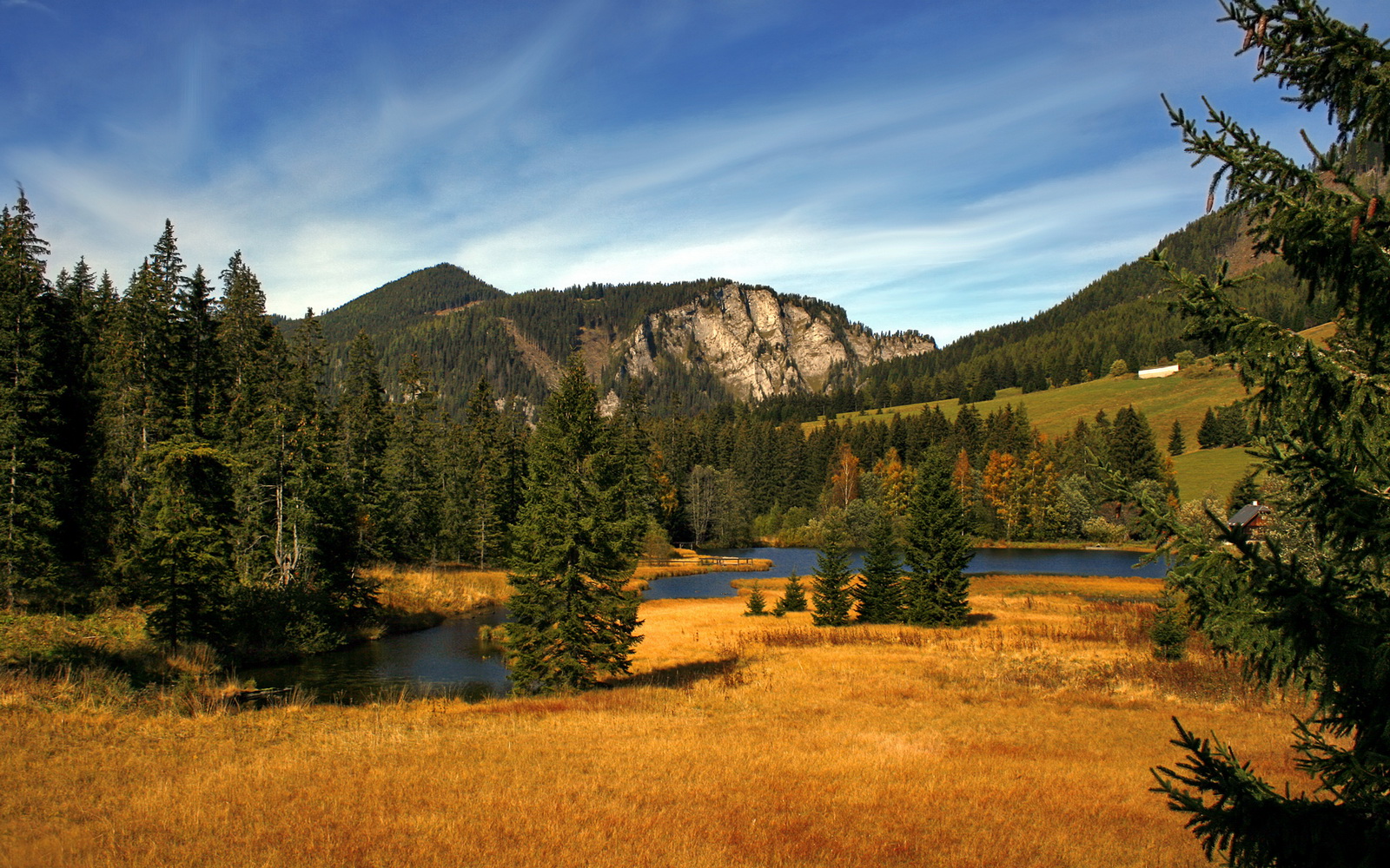 法甲新秀崛起:未来之星闪耀未来!,法甲新赛季宣传片