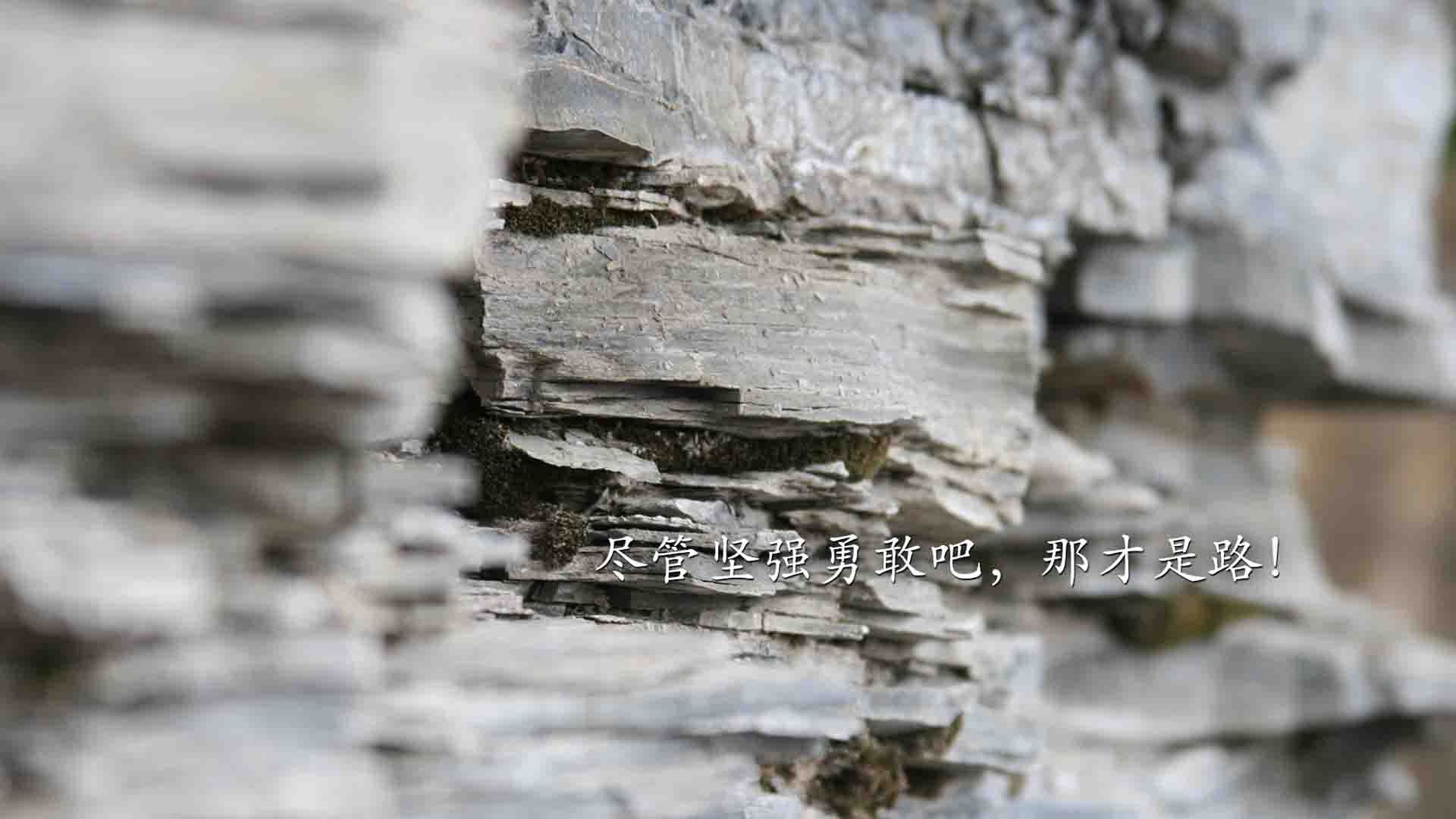 青训中心设立交流观察团鼓励跨区域人才互动,青训基地